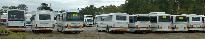 Panorama Coaches Diamond Creek depot